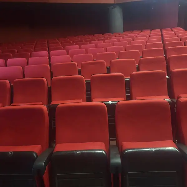 Ανακαινισμένα θεατρικά καθίσματα – έργο 02