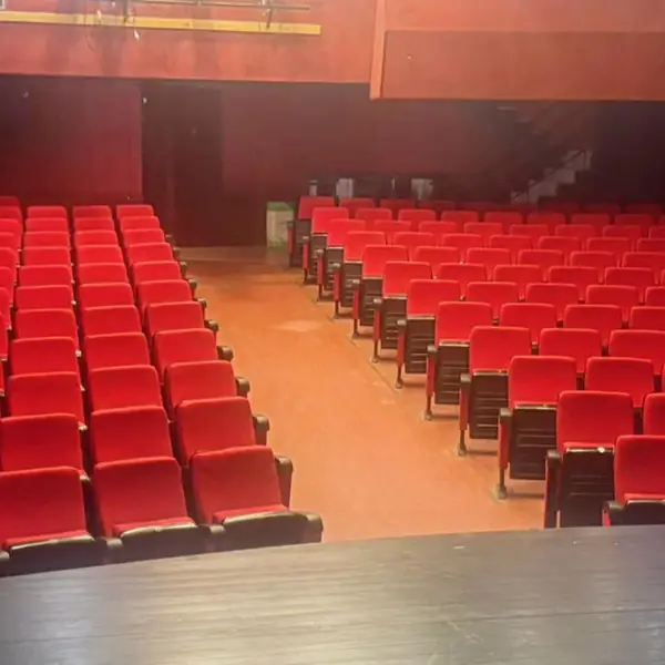 Ανακαινισμένα θεατρικά καθίσματα – έργο 03