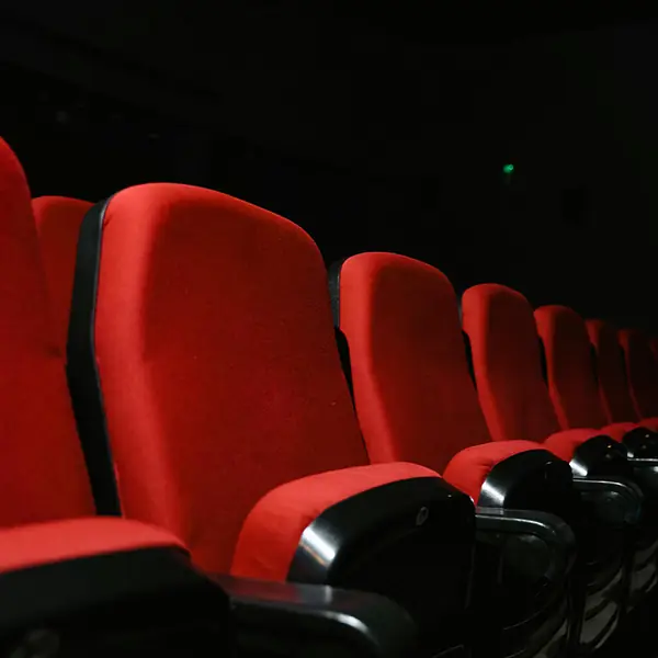 Ανακαινισμένα θεατρικά καθίσματα – έργο 11